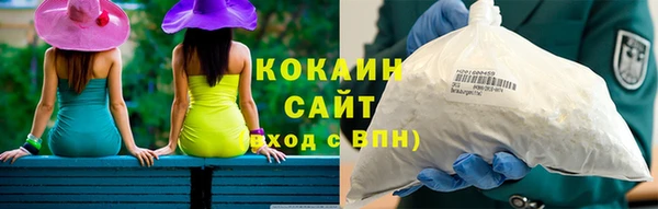 гидра Карпинск