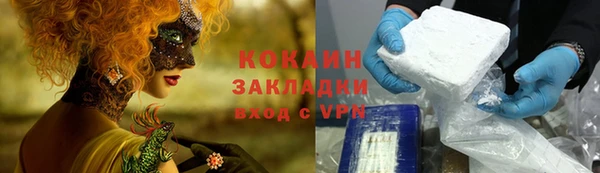 гашик Инта