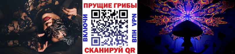 Псилоцибиновые грибы мицелий  Кунгур 
